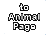 to Animal Page